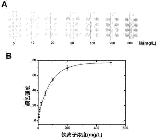 Paper chip for quick flow guidance and substance transportation, manufacturing method and application thereof