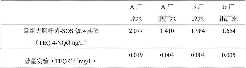 Detection method of water body genetic toxicity of urban drinking water