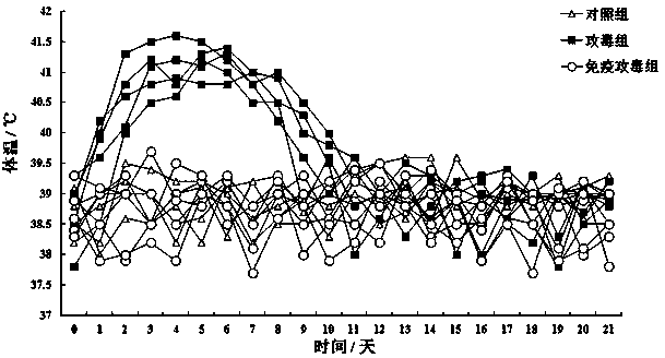 Goat herpes virus type I vaccine strain and its application