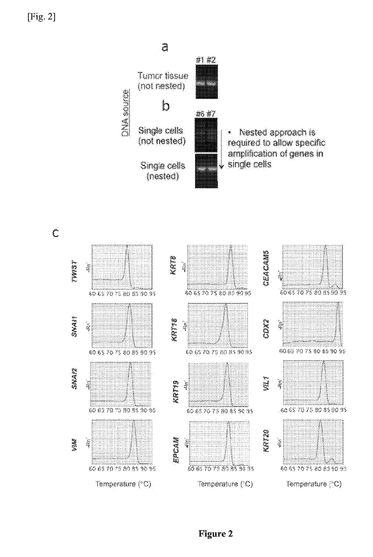 Single cell RNA and mutational analysis PCR (scrm-PCR): a method for simultaneous analysis of DNA and RNA at the single-cell level