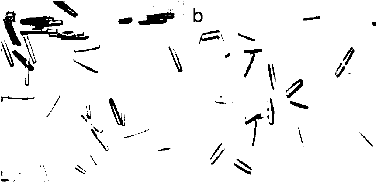 Method for preparing stable insulin aspart crystal