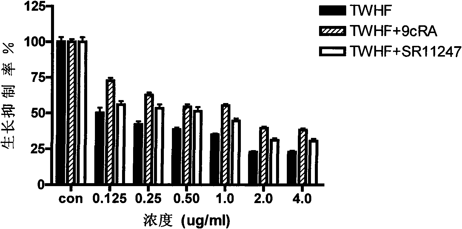 Application of active ingredients of thunder god vine for regulating heat shock protein and retinol X receptor Alpha