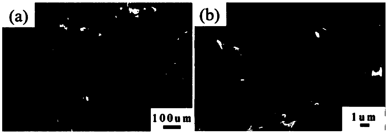 Green preparation method of light high-strength cordierite porous ceramic and filter