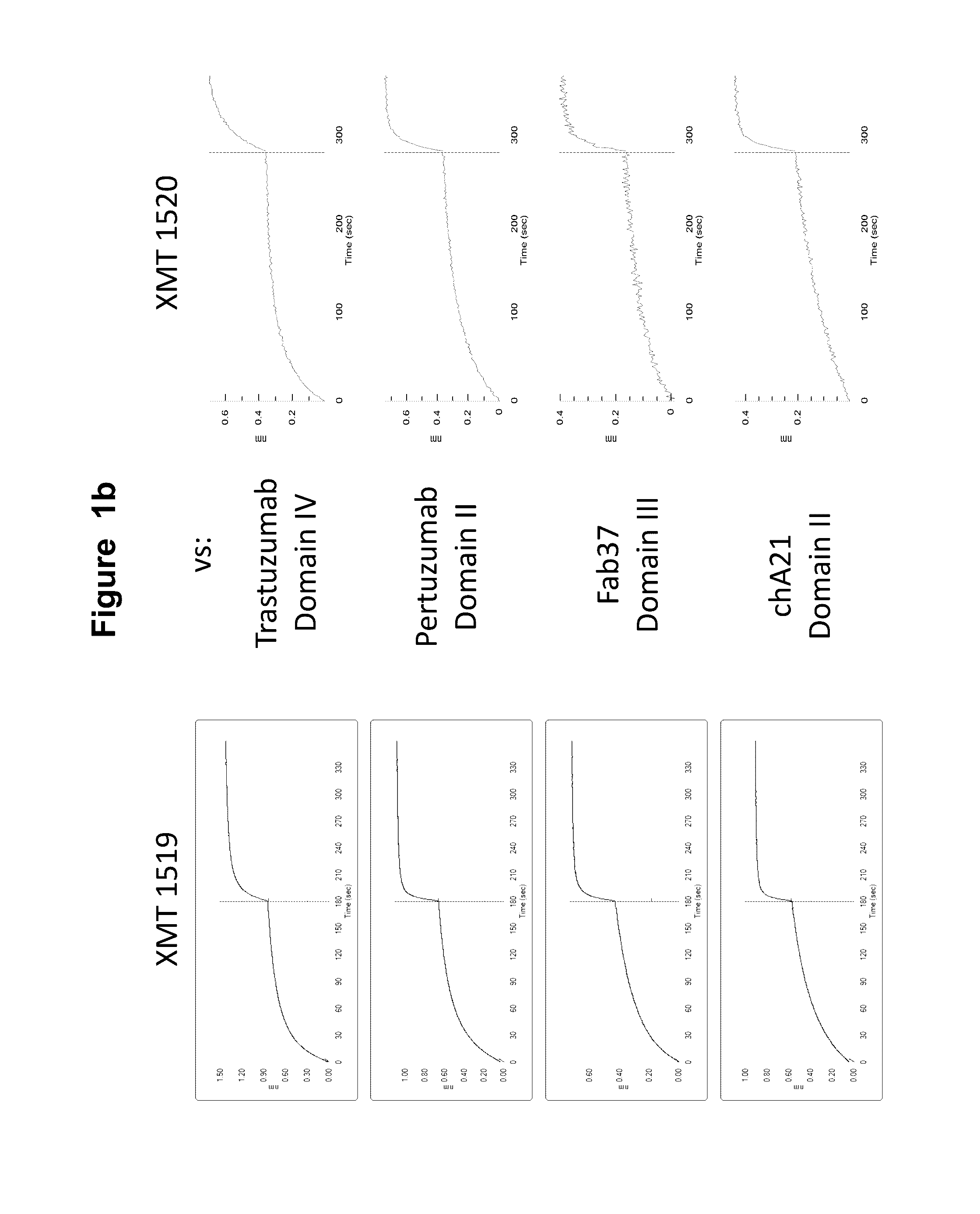 Monoclonal antibodies against HER2 epitope and methods of use thereof