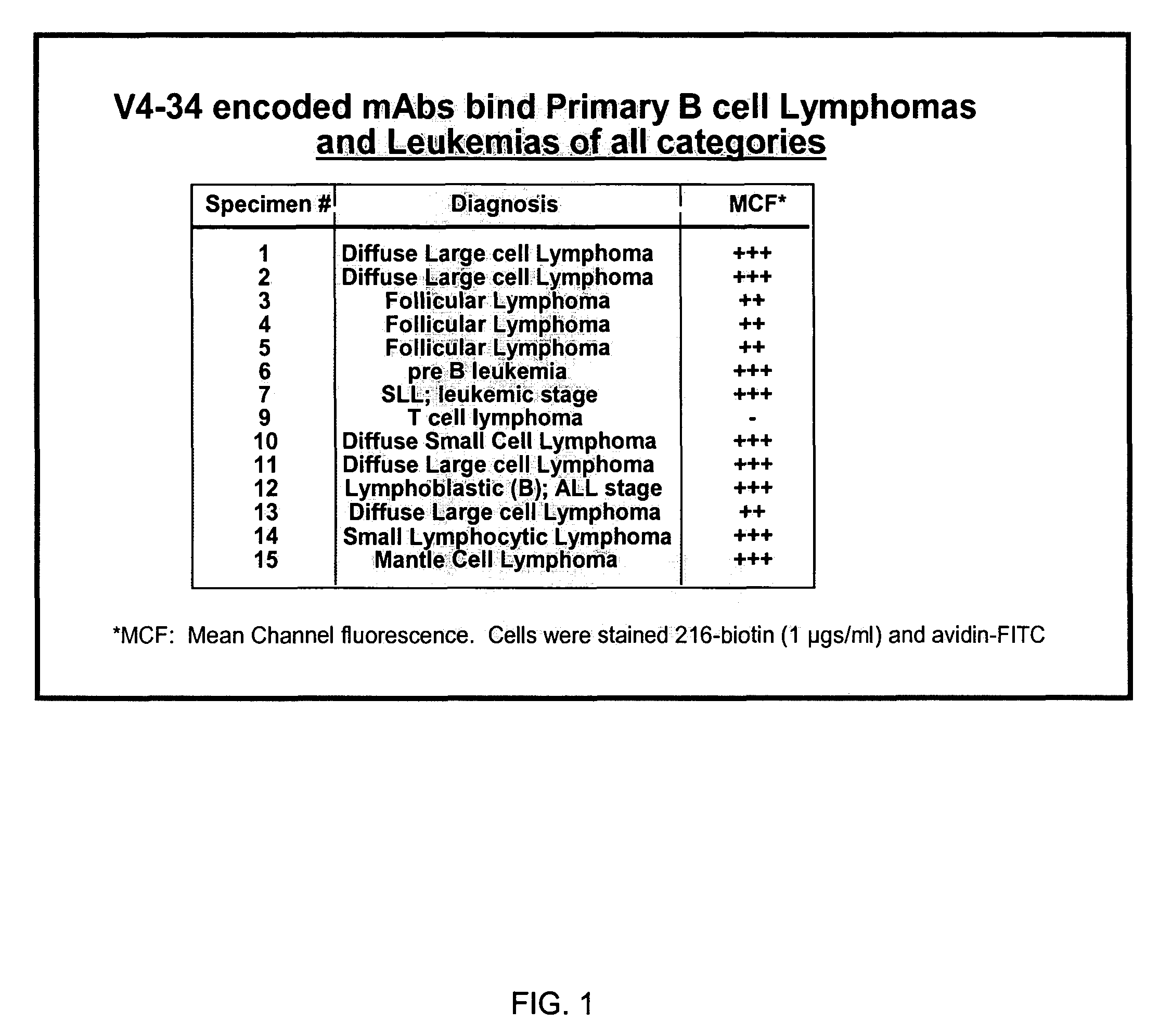 Antibody induced cell membrane wounding