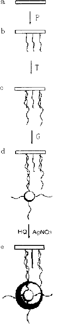 Substrate, gene chip and preparation method thereof and target detection method