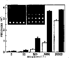 Substrate, gene chip and preparation method thereof and target detection method