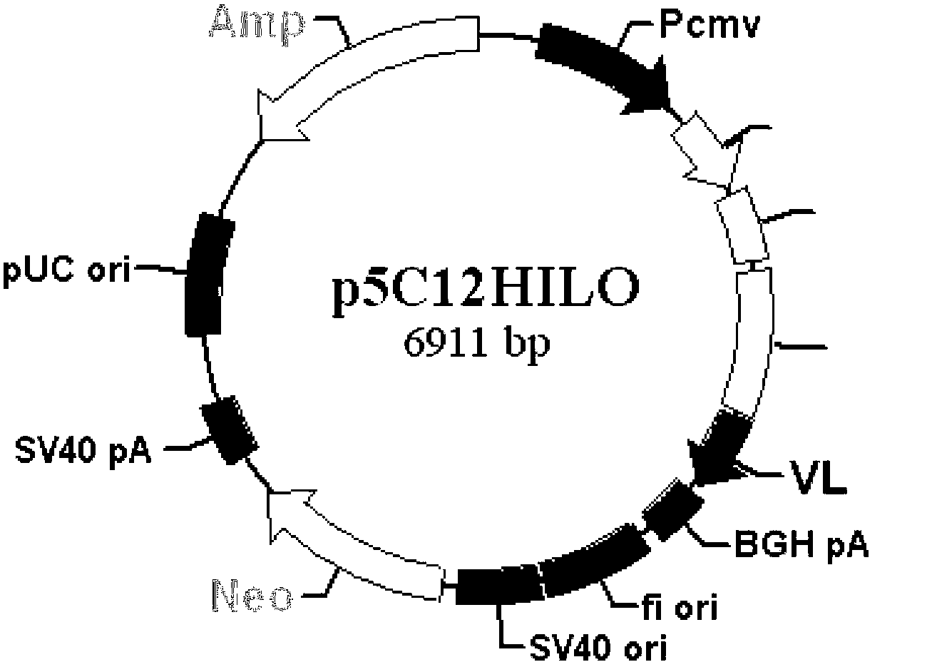 Staphylococcal enterotoxin micromolecule antibody and its preparation method and use