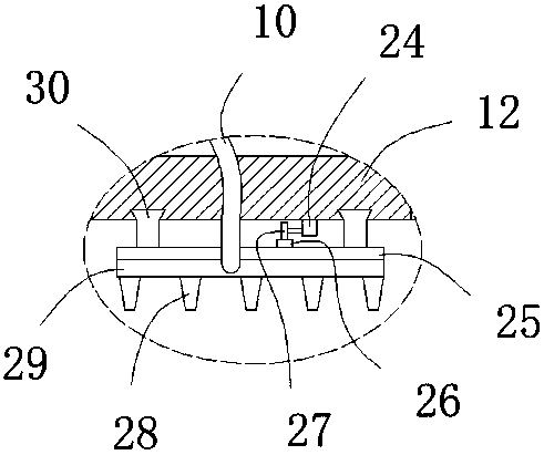 Pig body cleaning and sterilization device used for Jiangxiang pig breeding