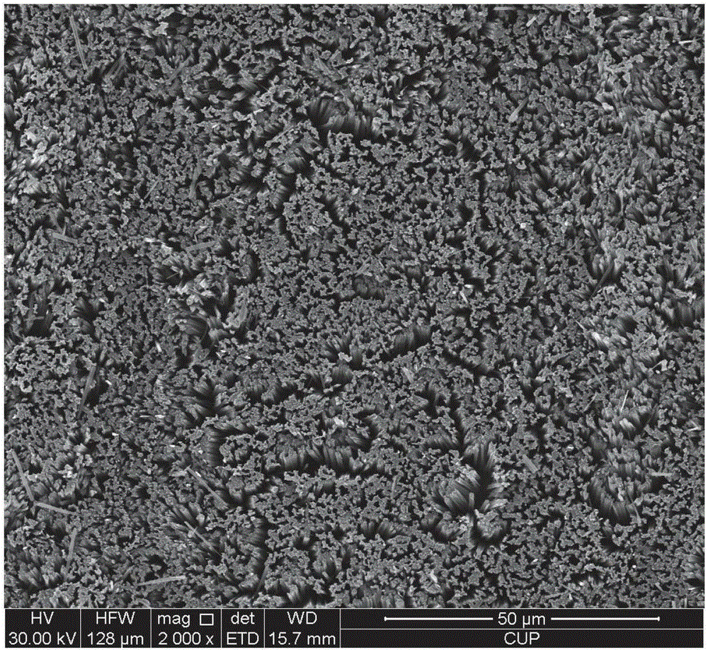 A method for preparing silicon nanowire arrays that are easy to separate in large areas