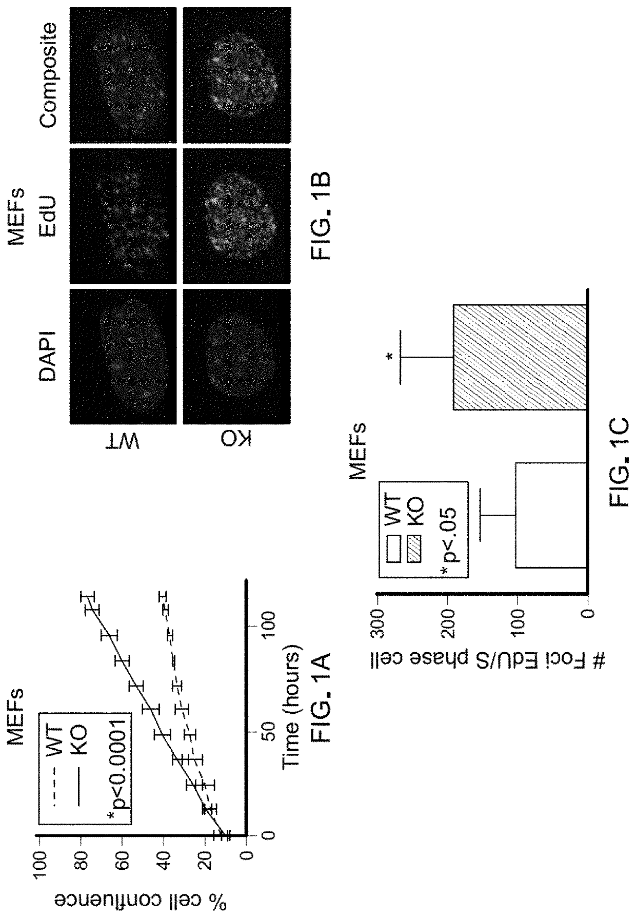 Methods for treating pten-mutant tumors