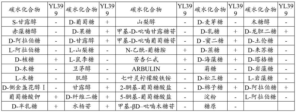 Lactobacillus plantarum YL399 capable of producing high-activity tannase and application of lactobacillus plantarum YL399 in preparation of codonopsis pilosula fermented feed