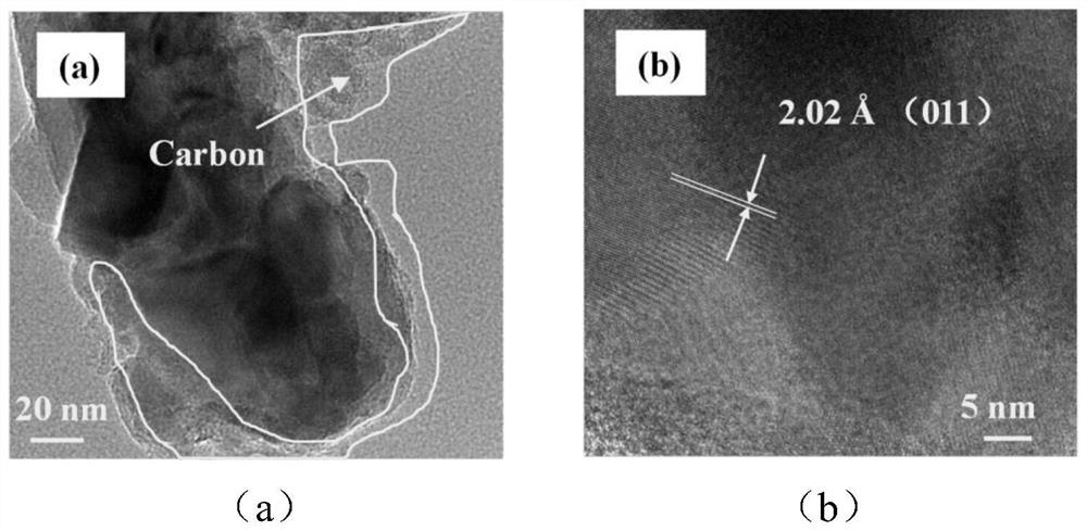 Composite iron-carbon filler based on sludge iron-rich biochar as well as preparation and application of composite iron-carbon filler