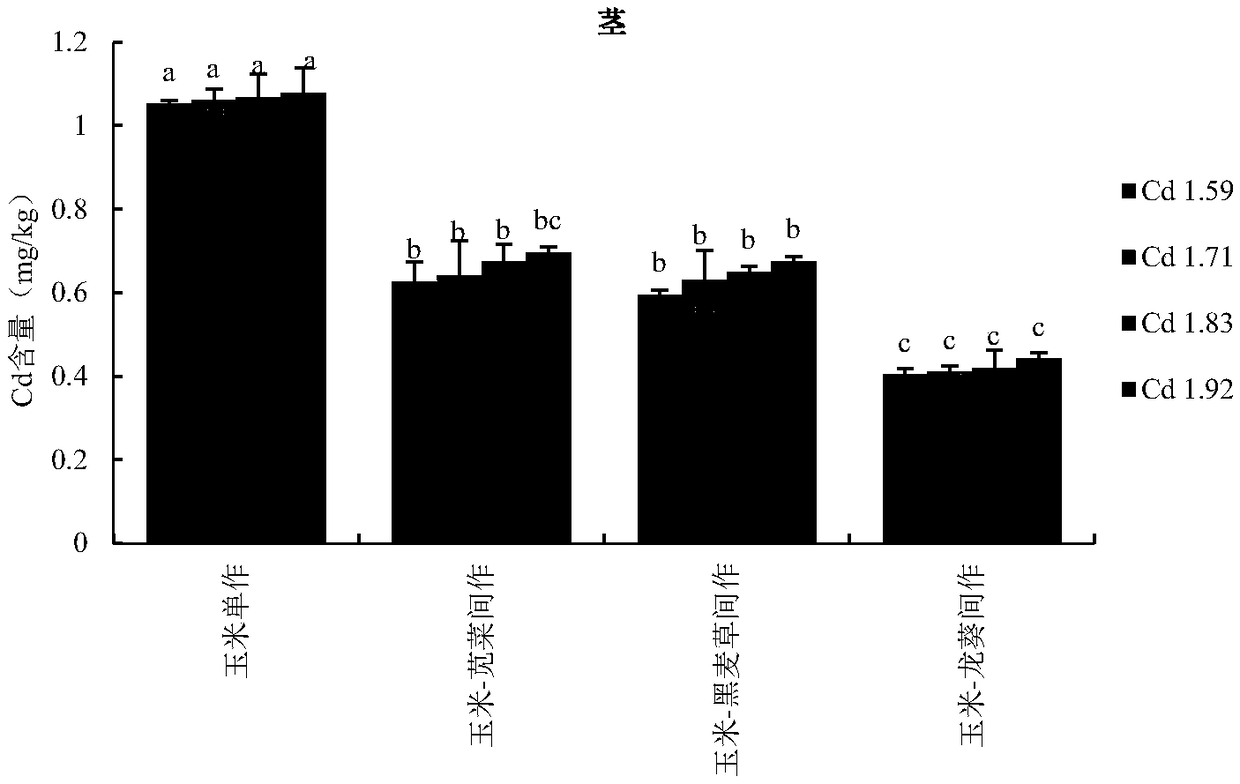 Method for improving quality of corn planted on Cd (cadmium)-polluted soil