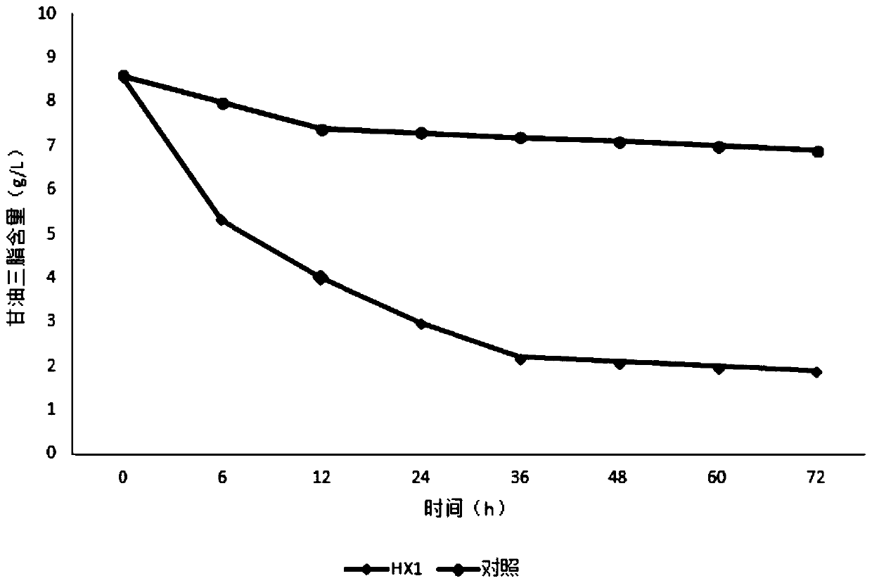 Method for extracting flavor peptide by utilizing low-value marine products