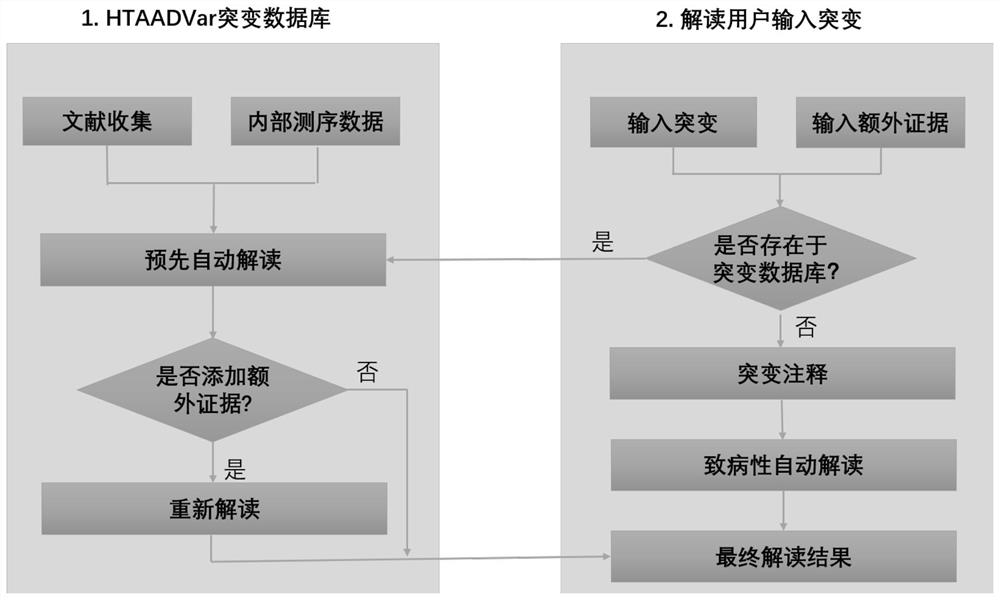 Automated interpretation system for genetic mutation of aortic disease (HTAADVar)