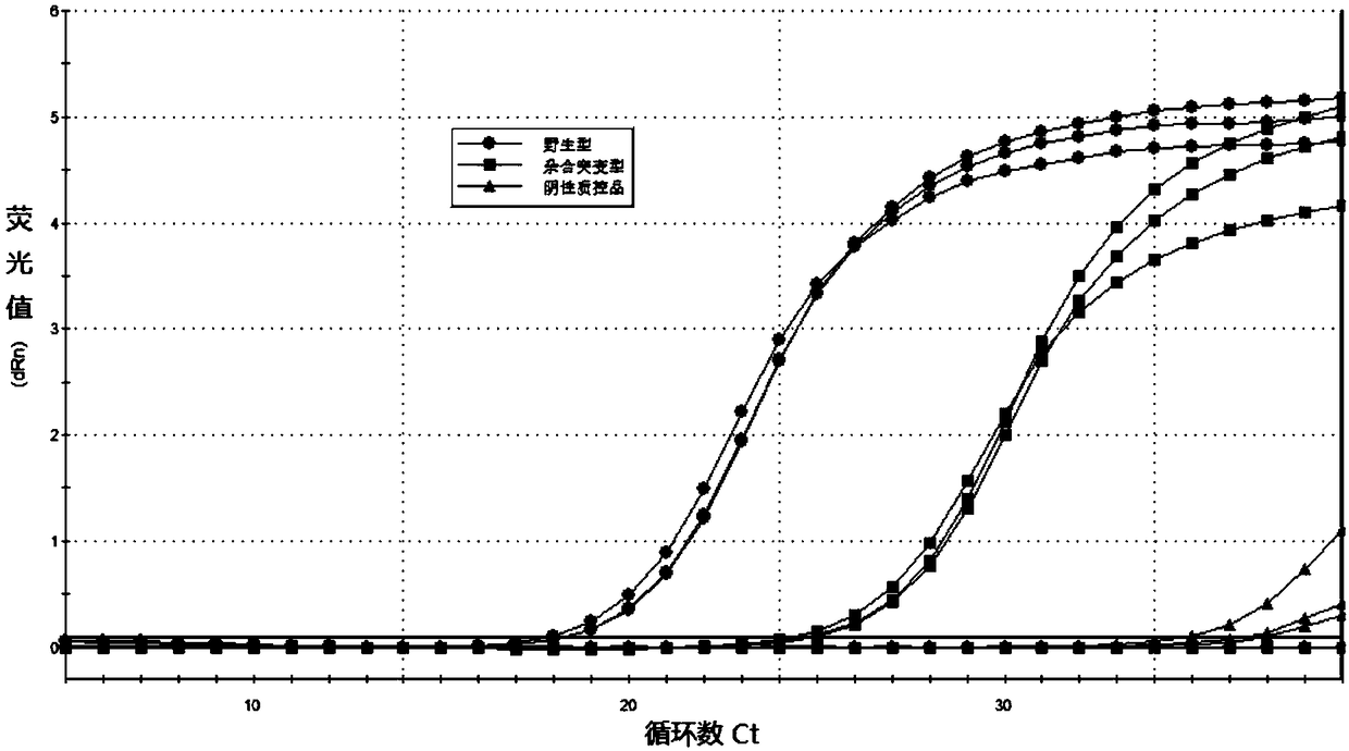 Kit and detection method of folic acid metabolic capability and genotyping as well as application of kit