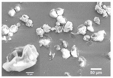 Method for preparation of inorganic mineralized microcapsule based on liquid drops obtained by dissolution of ethanol's crystal nucleuses in water