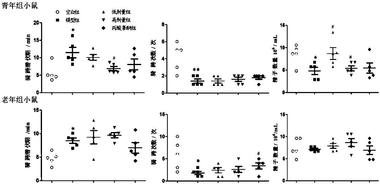 Application of compound preparation containing angelica keiskei to a medicine for preventing or treating sexual dysfunction