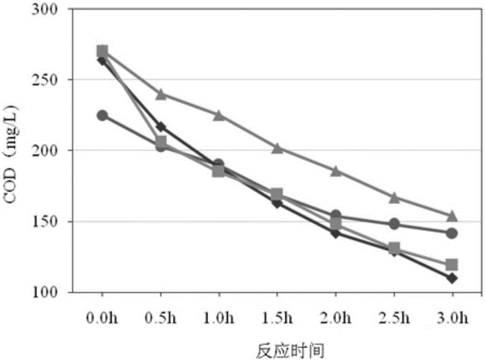 Constant pressure aeration enhanced rapid degradation method for pollutants in domestic sewage by using aerobic activated sludge