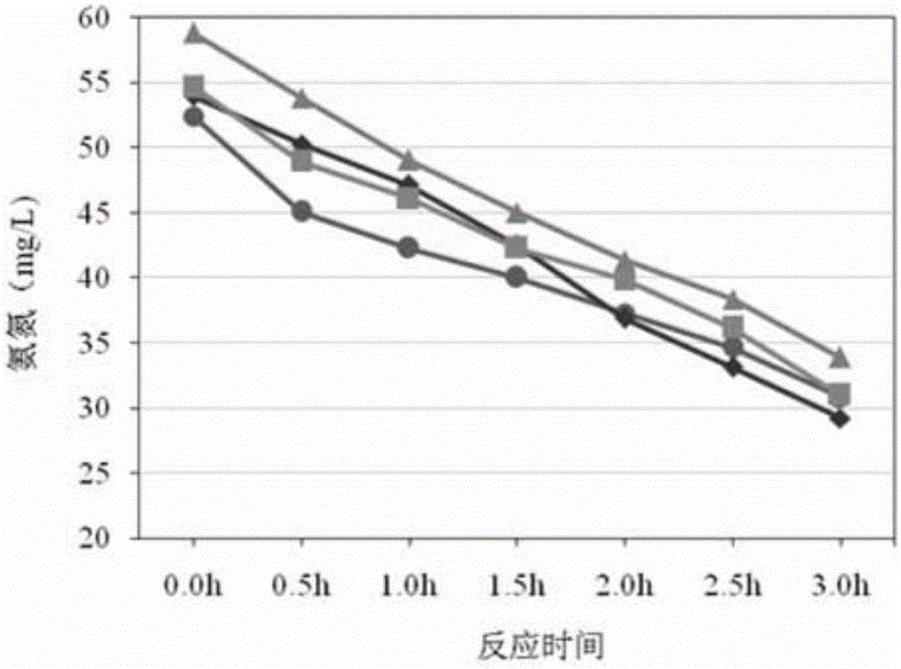 Constant pressure aeration enhanced rapid degradation method for pollutants in domestic sewage by using aerobic activated sludge