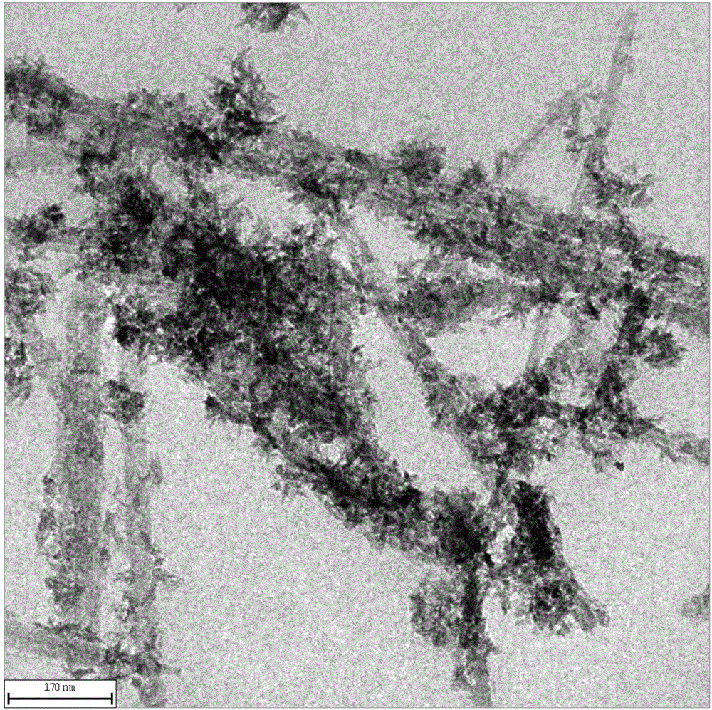 Attapulgite loaded quasi-one-dimensional titanium dioxide composite photocatalyst and preparation method thereof