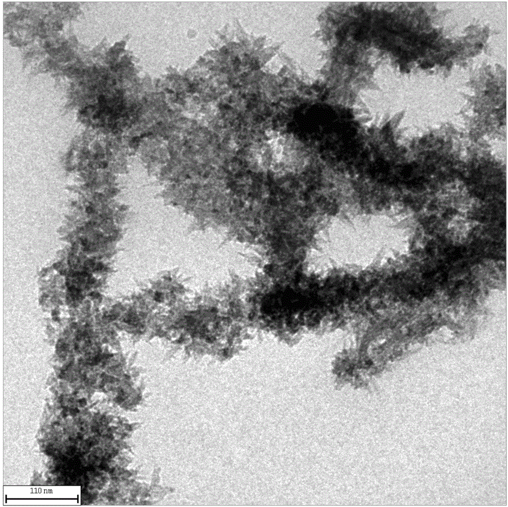 Attapulgite loaded quasi-one-dimensional titanium dioxide composite photocatalyst and preparation method thereof