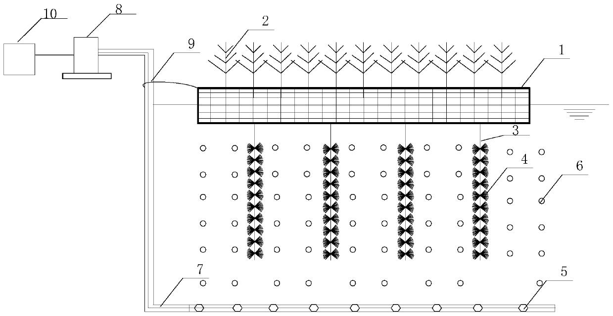 Ecological remediation system and method for black and odorous water