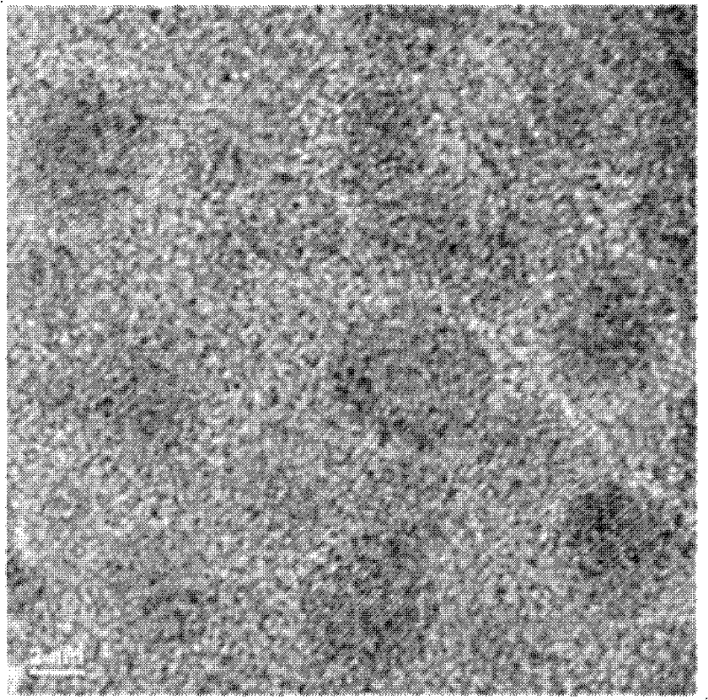 Methanation catalyst and application thereof