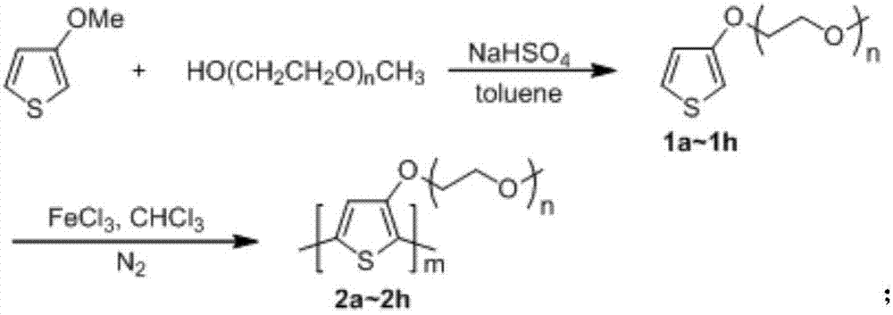 Polythiophene with hydrophilic group in side chain and preparation method thereof