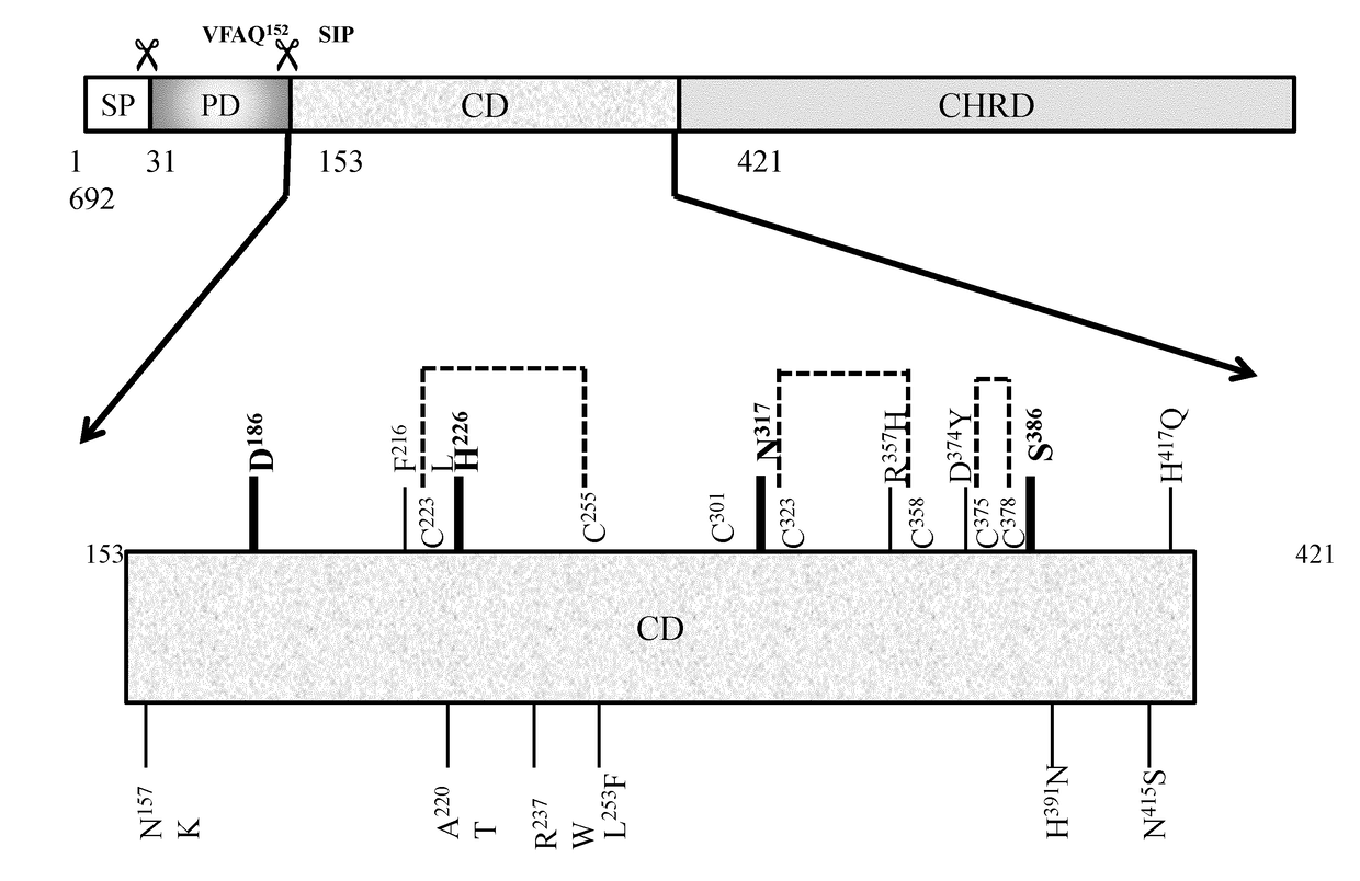 Peptides derived from human pcsk9 catalytic domain and uses thereof for promoting ldl-r activity