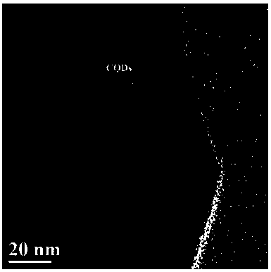 Bamboo stem biochar quantum dot modified Bi4Ti3O12 composite photocatalyst preparation and application