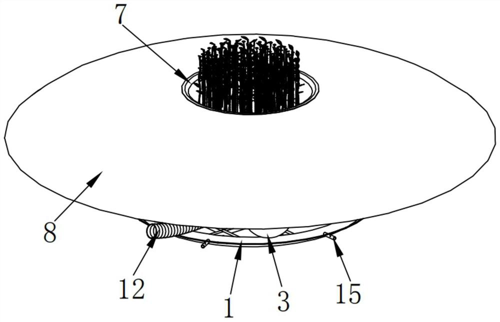 Integrated landscape algae sucking and controlling device