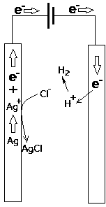 Electroplating device of electrode for electrophysiological experiments