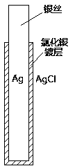 Electroplating device of electrode for electrophysiological experiments