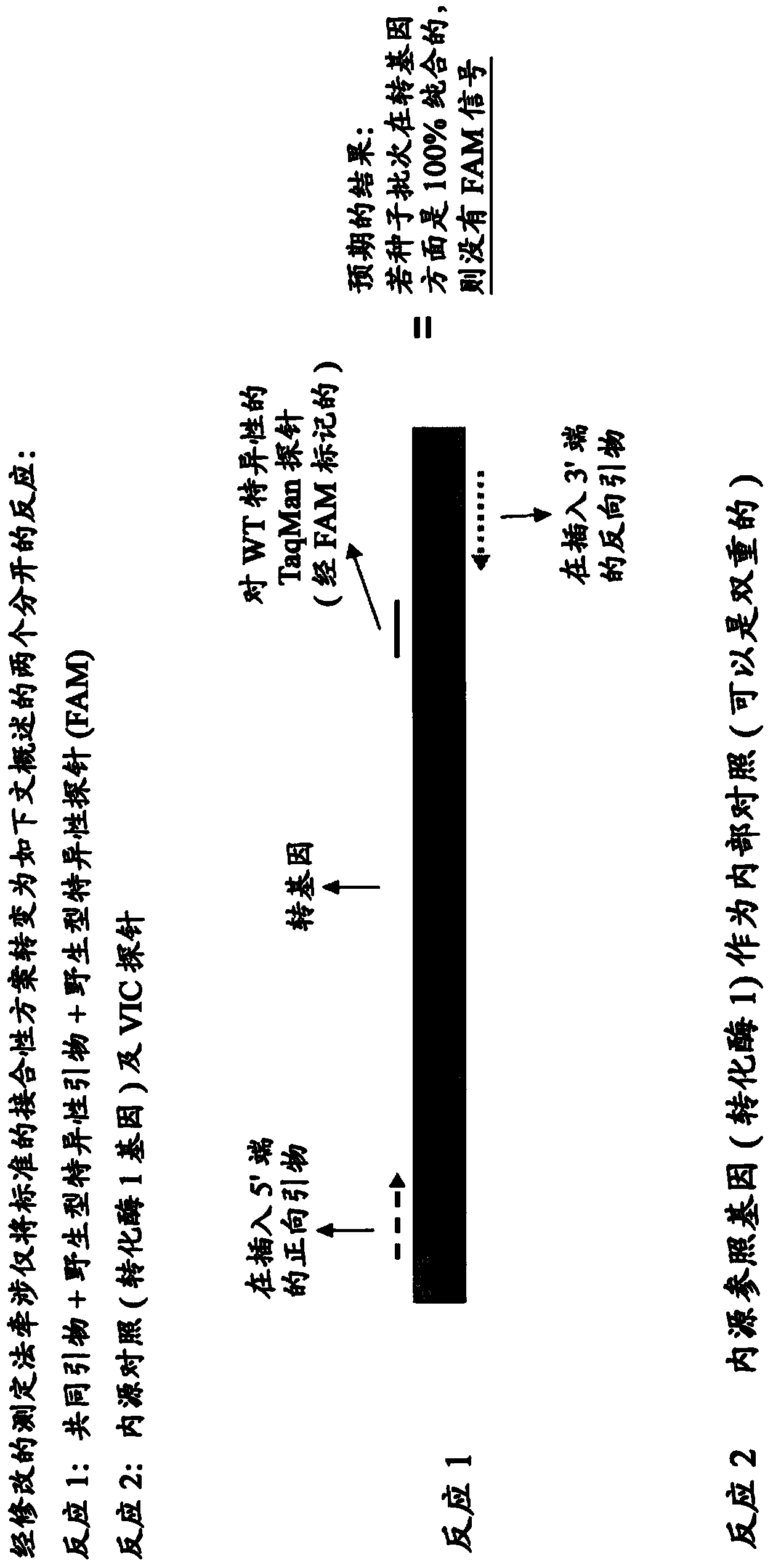 Methods to determine zygosity in a bulked sample