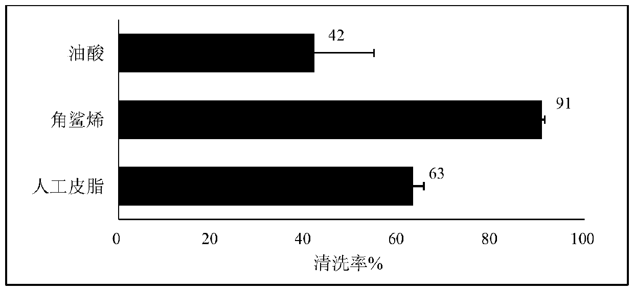 Scalp hair cleaning composition, scalp care product, and scalp care method