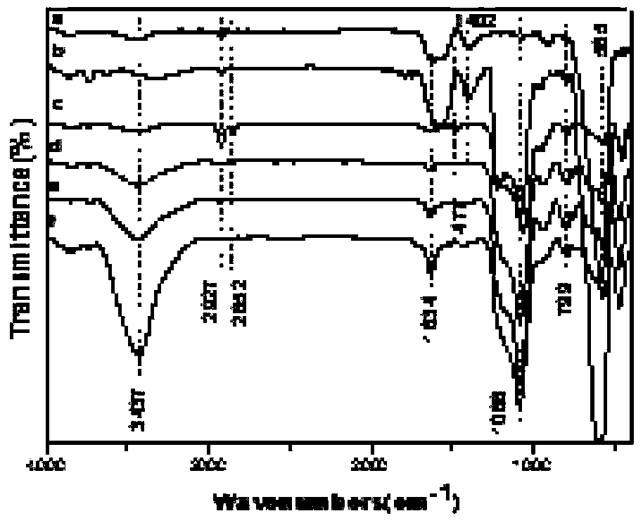 Preparation method of carboxyl functionalized hyperbranched magnetic mesoporous silica composite microspheres