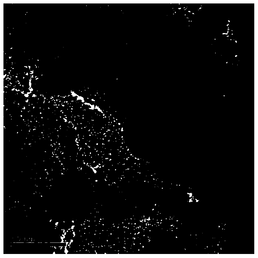 Ultra-small perovskite quantum dots and preparation method thereof