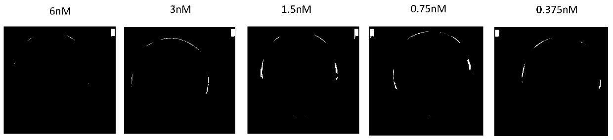 A dual-mode molecular imaging probe integrating optics and photoacoustics and its preparation method and application