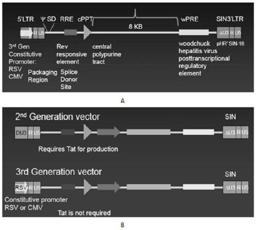 Anti-cd138 chimeric antigen receptor, coding gene, recombinant expression vector and its construction method and application