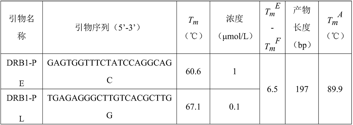 Rapid amplification diagnostic kit and amplification method for HLA (human leucocyte antigen) high-resolution genetic locus