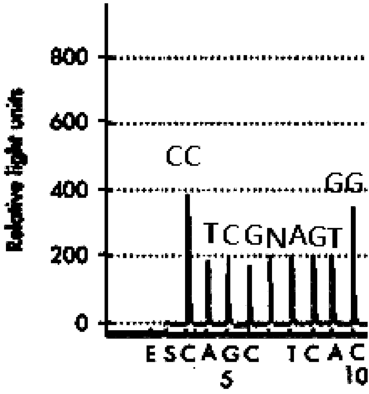 Rapid amplification diagnostic kit and amplification method for HLA (human leucocyte antigen) high-resolution genetic locus