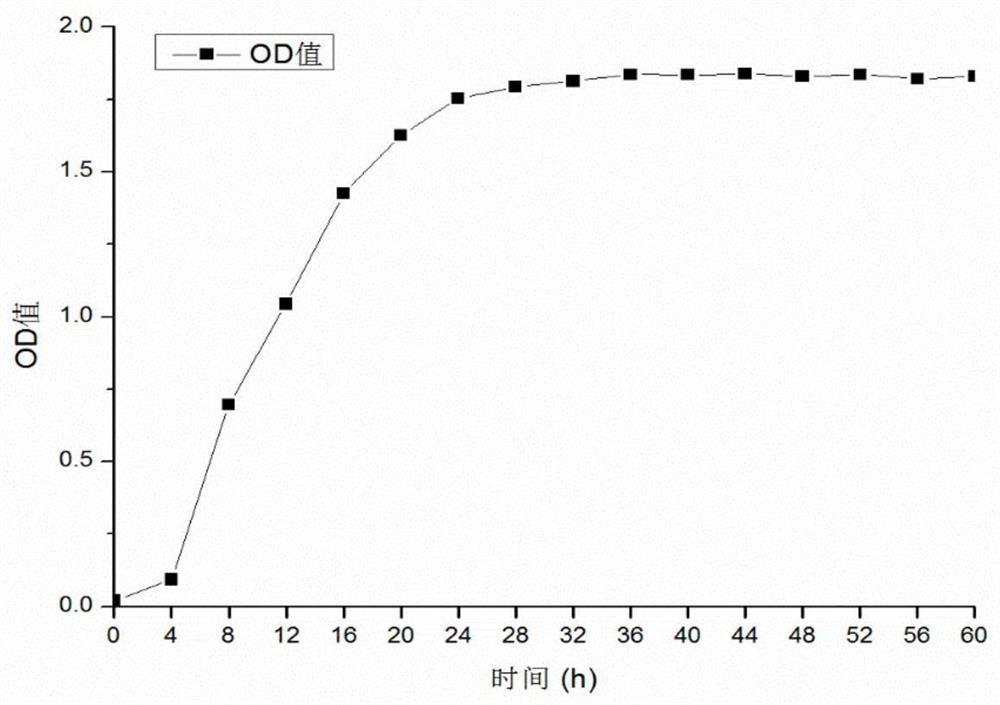 Method for preparing oligopeptide- growth-promoting rhizobacteria compound fertilizer by dechroming and fermenting wet blue scurf and application