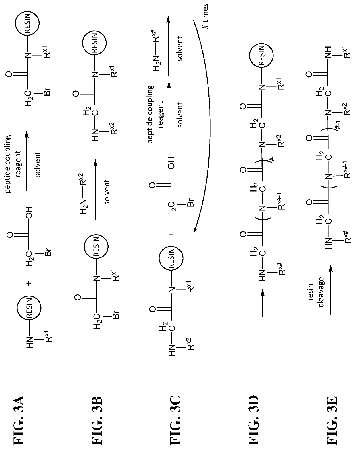 Lipidated cationic peptide-peg compositions for nucleic acid delivery