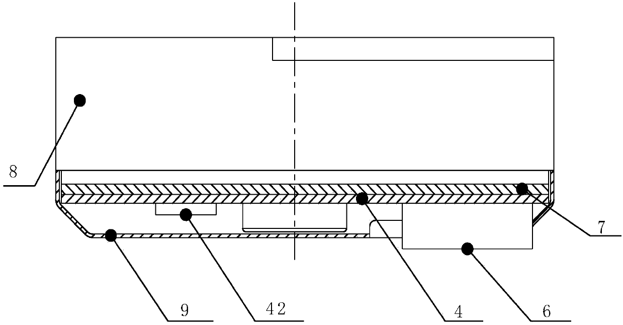 Dust detection device and dust detection method