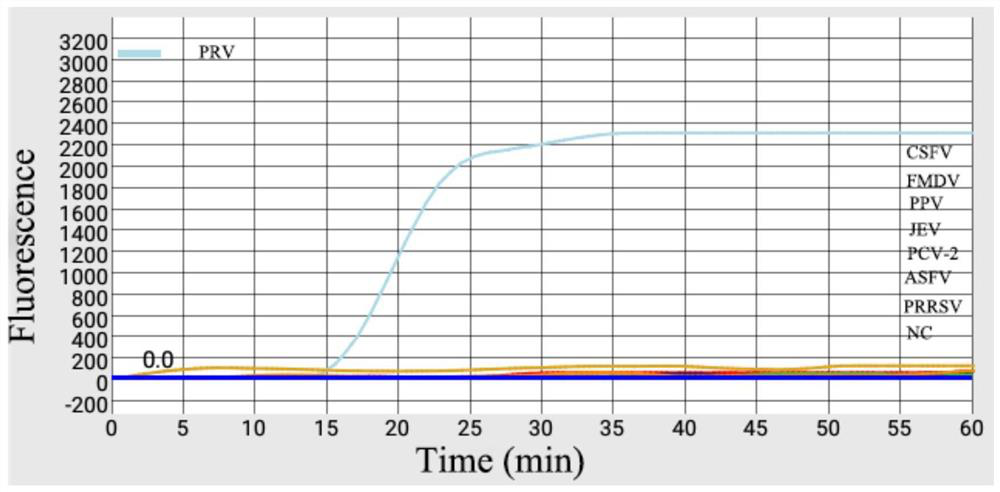 Kit for detecting porcine pseudorabies virus (PRV) by combining centrifugal micro-fluidic chip with loop-mediated isothermal amplification (LAMP) technology