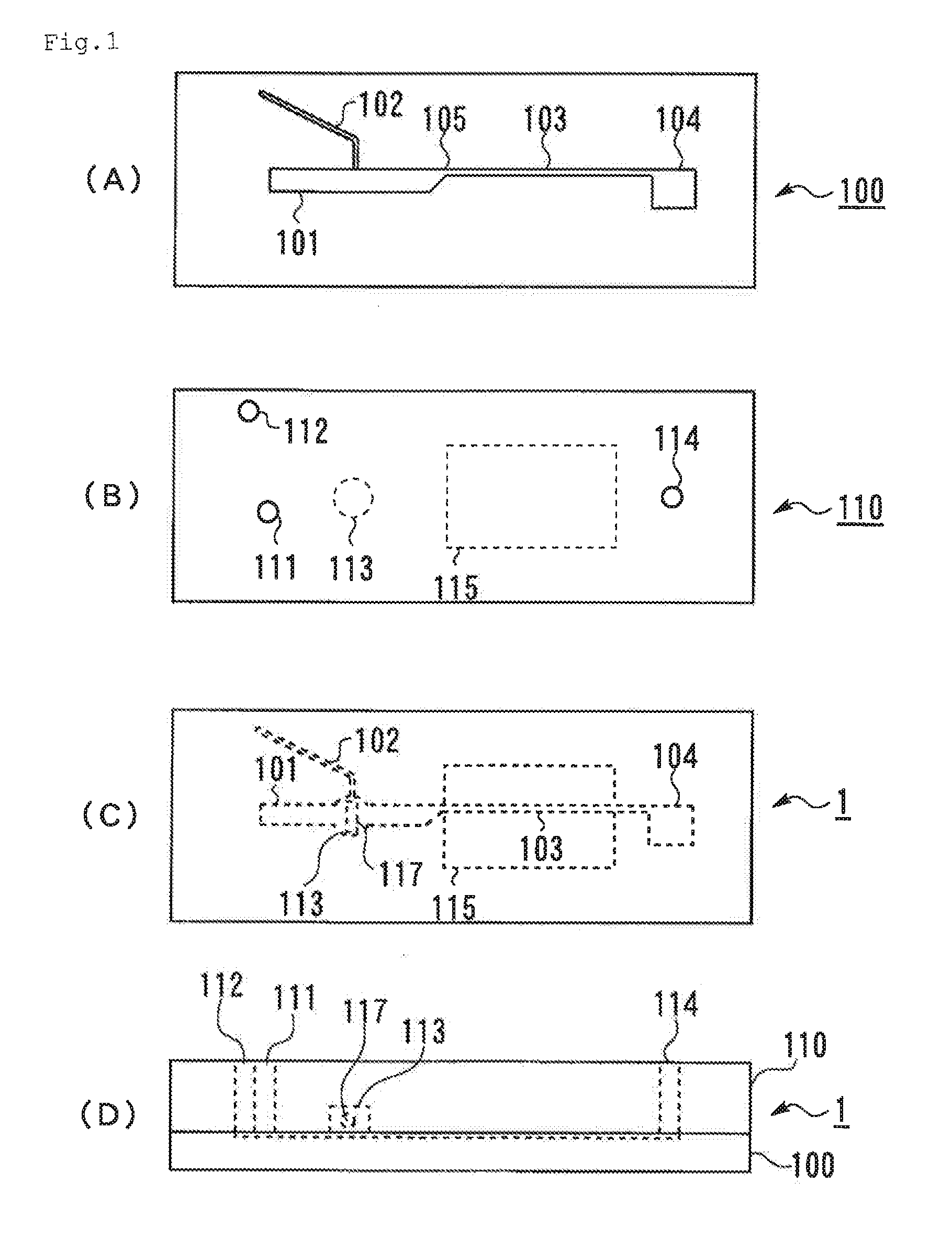 Microchip and blood monitoring device