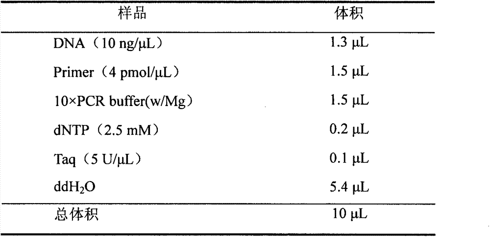 The ssr marker closely linked to rice black-streaked dwarf resistance qtl on chromosome 11 and its application