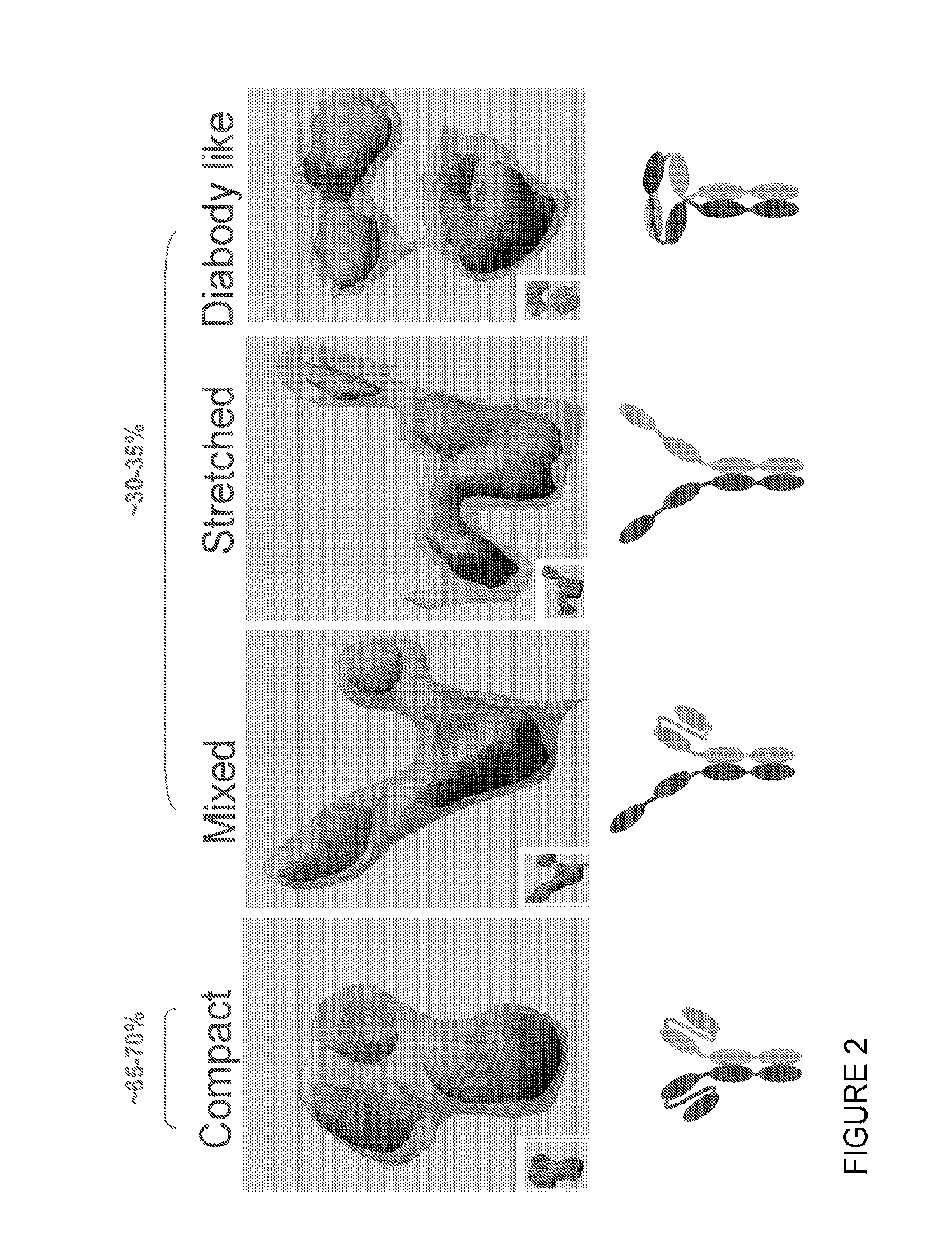 Methods of purifying small modular immunopharmaceutical proteins